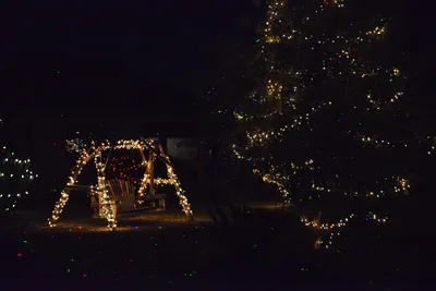 DSC_5815 (Large).JPG